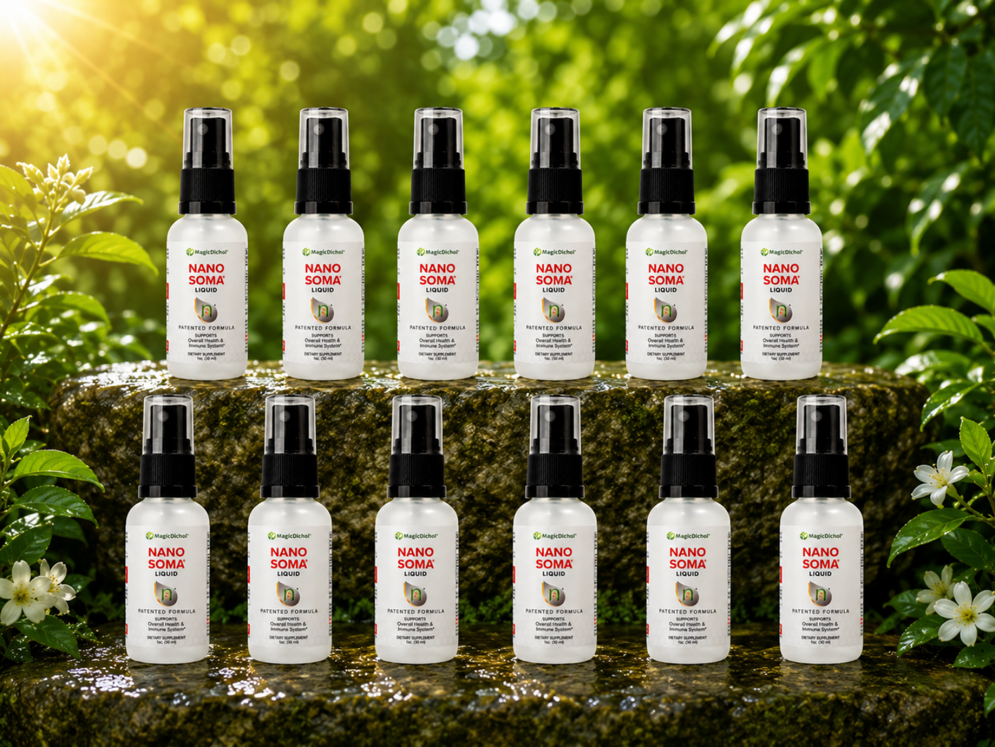 NANO SOMA Nutritional Liquid Supplement - 12 bottles