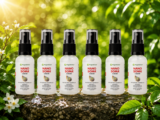 NANO SOMA Nutritional Liquid Supplement - 6 bottles